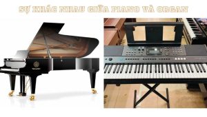 su-khac-nhau-giua-piano-va-organ