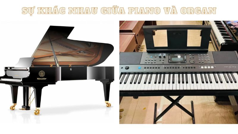 su-khac-nhau-giua-piano-va-organ