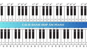 hop-am-piano-la-gi