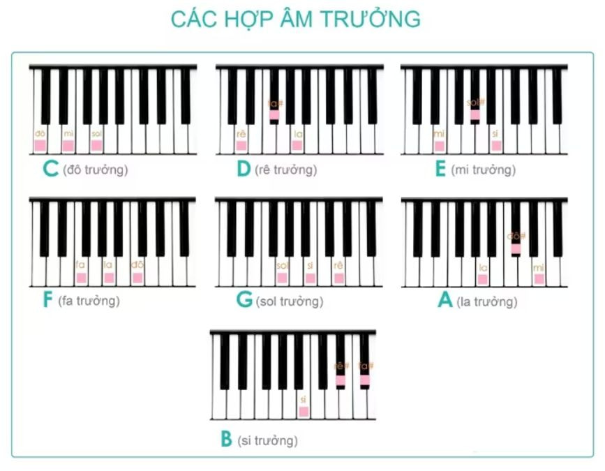 cac-hop-am-truong