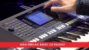 dan-organ-khac-gi-piano