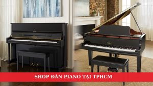 shop-dan-piano-tai-tphcm