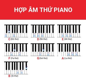gioi-thieu-ve-hop-am-piano