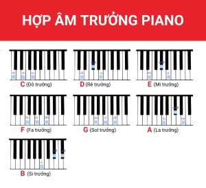 gioi-thieu-ve-hop-am-piano