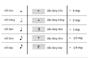 5-kien-thuc-nhac-ly-piano-can-phai-nam-ro